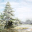 Whispering Pines Panorama (2)